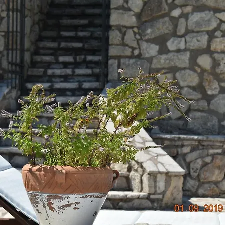 Estate Dafnopanagia Magda Kariá